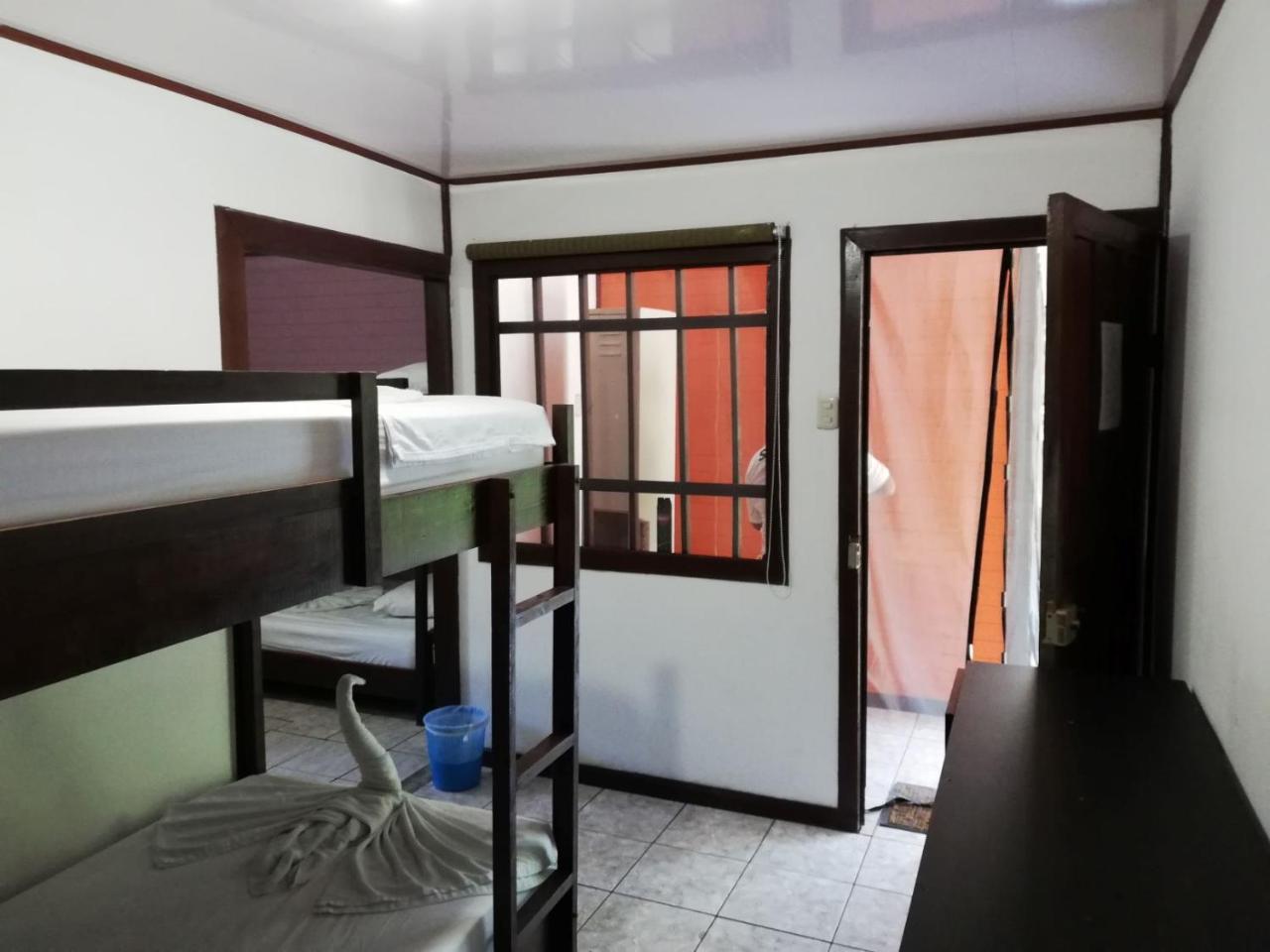 Aracari Garden Hostel Tortuguero Bagian luar foto