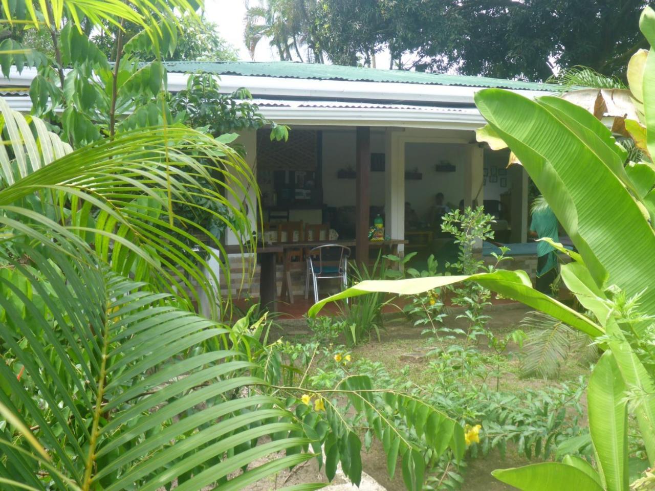 Aracari Garden Hostel Tortuguero Bagian luar foto