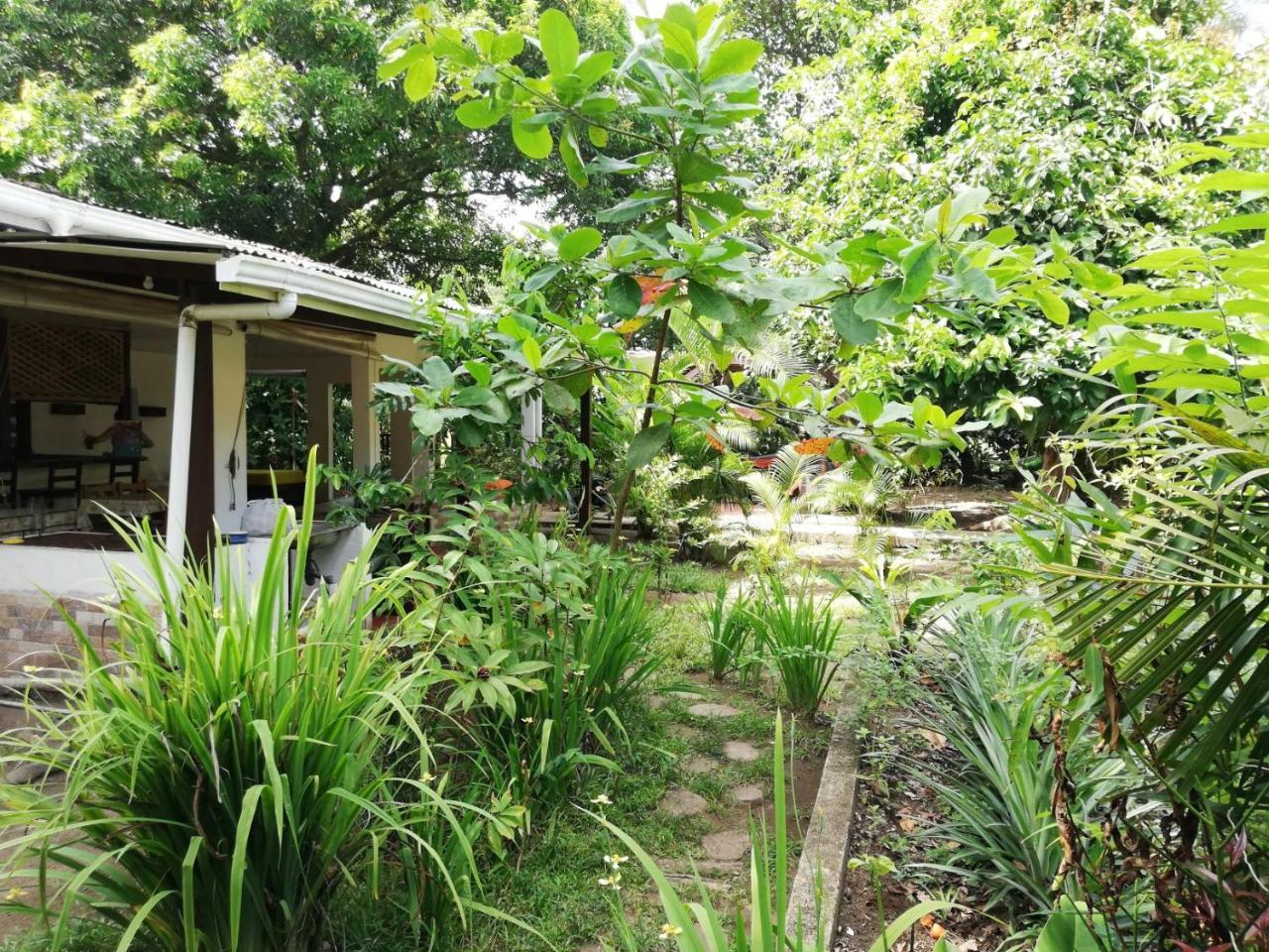 Aracari Garden Hostel Tortuguero Bagian luar foto
