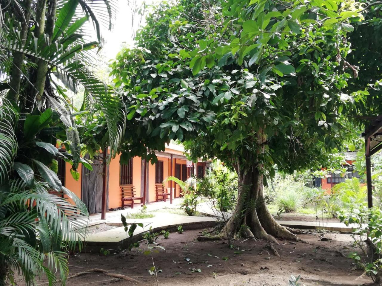 Aracari Garden Hostel Tortuguero Bagian luar foto