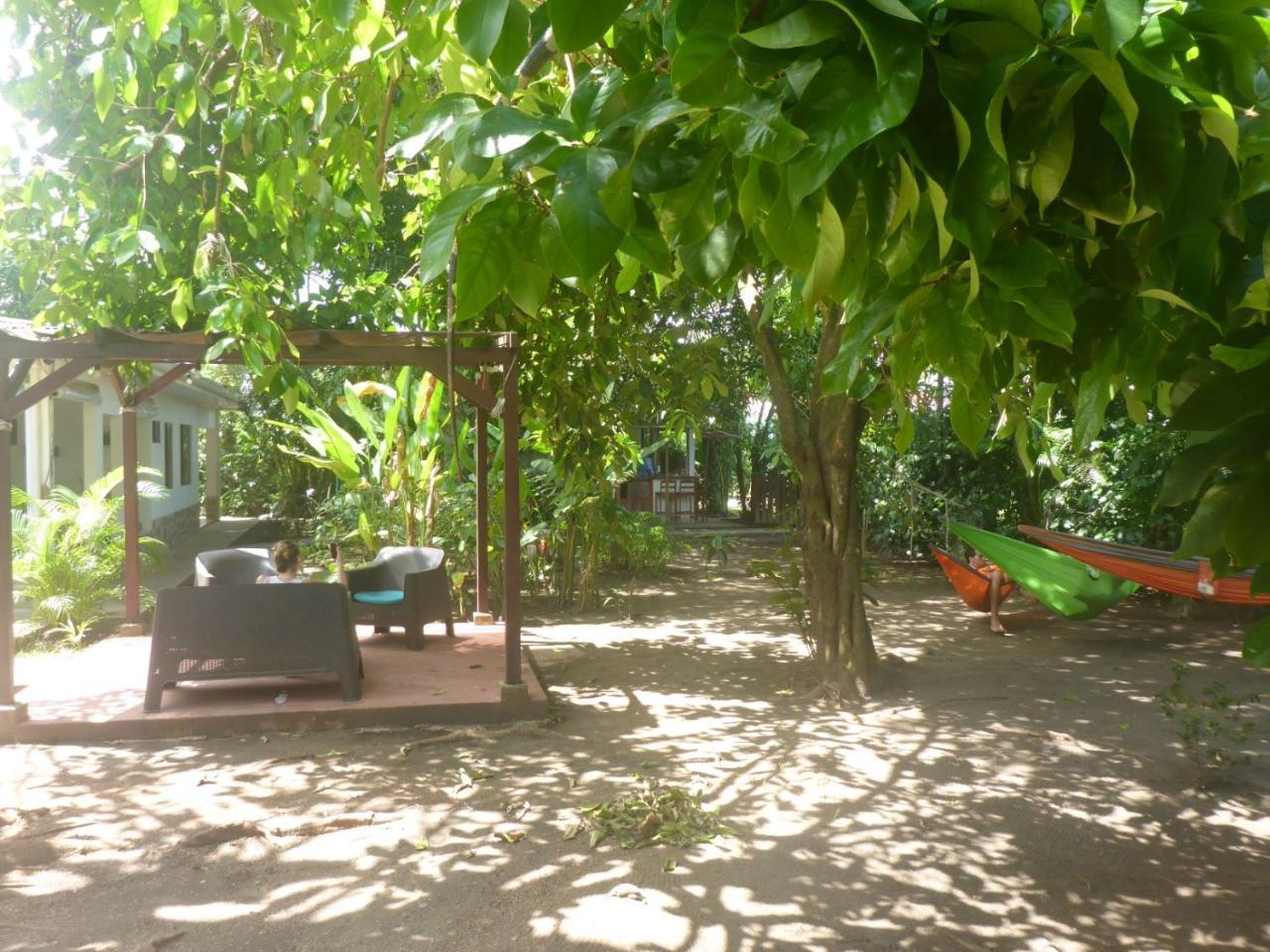 Aracari Garden Hostel Tortuguero Bagian luar foto